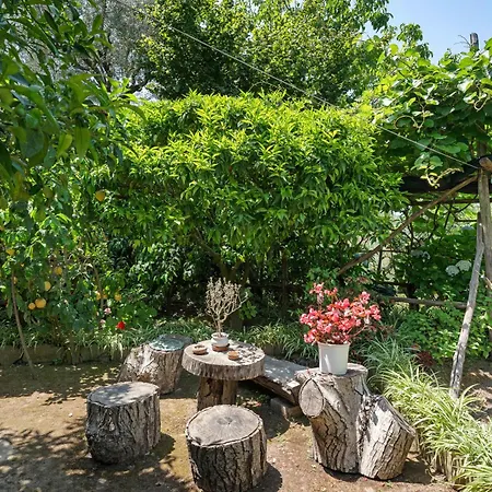 Villa Sulle Colline Di Sorrento *